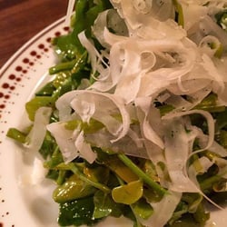 イタリア食堂　ムジカ 9991