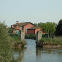 La Zanzara 68875