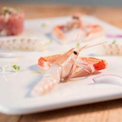 Le Gastronomie di Mat 80896