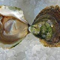 L’Écailler du Bistrot 12387