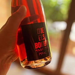 Llépol.cat, espai gastronòmic 686561