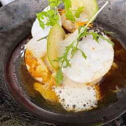 Omnivore 434650