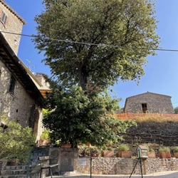 Osteria del Posto 636405