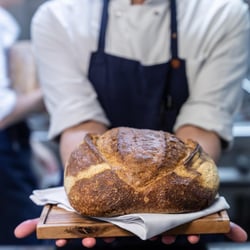 Pizzicato 692016