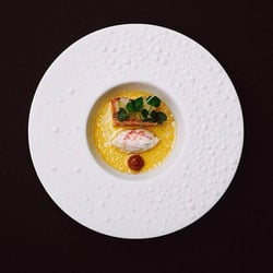 Portfolio-Restaurant 64007