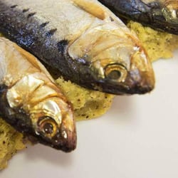 Ristorante Sapi 64603