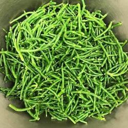Rhizome 76545