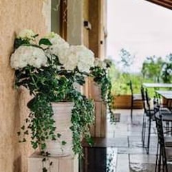 Ristorante la Paterna 234849
