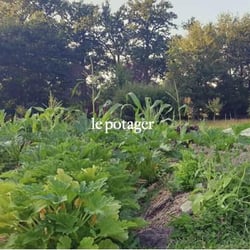 Ruche - Domaine les Bruyères 383097