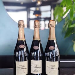 Sacré Bistro 699495