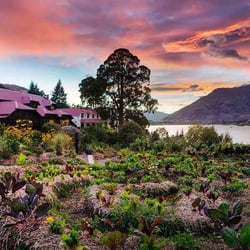 Sherwood Hotel 10233