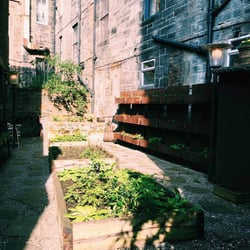 Timberyard 15267