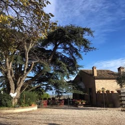 Trattoria al Giardino da Giamburesti 506521