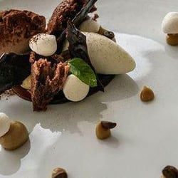 Vescovado 88831