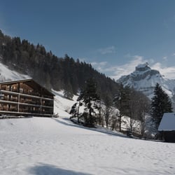 Villa Hundert 797424