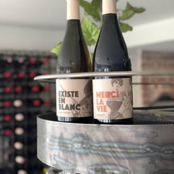Vin Polisson 366929