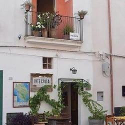 Vite Colta 154937