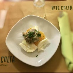 Vite Colta 154942