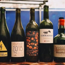 Wine Love 243683