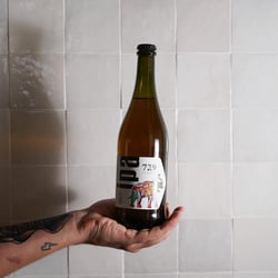 Angiò Macelleria Di Mare 703691