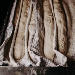 Brasserie Basa 377847