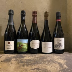 Gabbo Cave a Vin 629112
