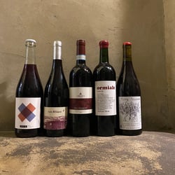 Gabbo Cave a Vin 629114