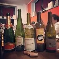 Vinodromo 54991