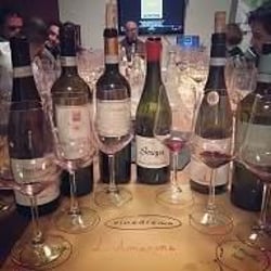 Vinodromo 54992