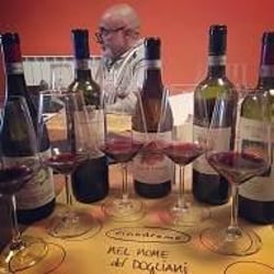 Vinodromo 54994