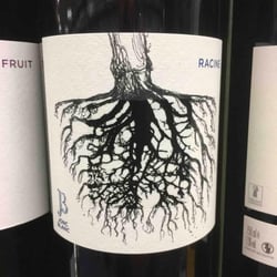Bio Joli 241015