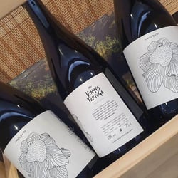 Celler Castañé 238487