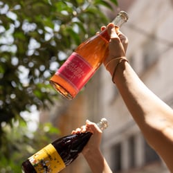 Cavanegra Natural Wine Shop 694716