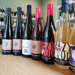 Craft Wine 370229