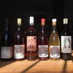 Crocodile Wine 112118