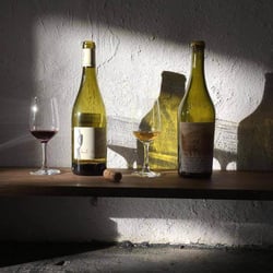 Crocodile Wine 112119