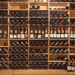 Dynamic Vines Shop 799517