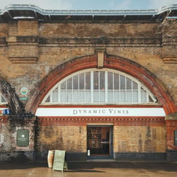 Dynamic Vines Shop 799520