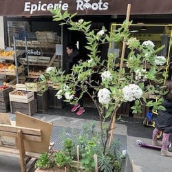 Épicerie Roots 160354