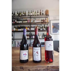 Forest Wines 305960