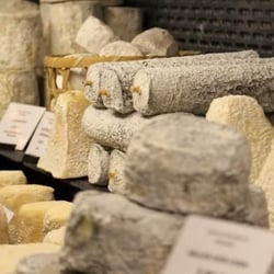 L’amie Paulette 302115