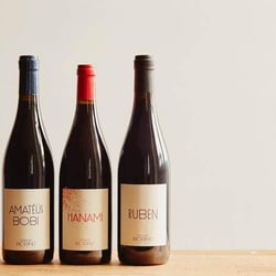 Luna Wine Store 245575