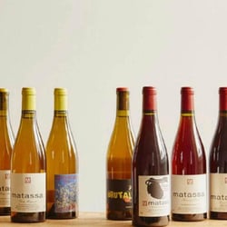 Luna Wine Store 245576