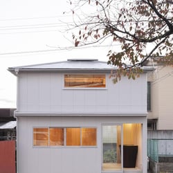 Maenota 699419