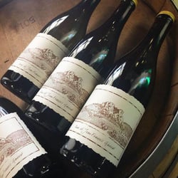Mr. B’s Wine & Spirits 166422