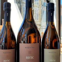 Ô Vins 363063