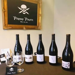 Pinard Pirate 94967