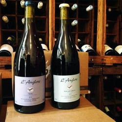 Plus Belle La Vigne 2055
