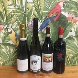 Potabile Wine shop - Bibo distribuzione 231982