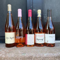 Radicle Wine 698402
